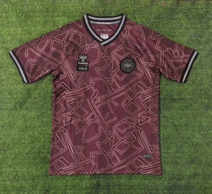 2024 Denmark National Team Special Edition Football Shirt 1:1 Thai Quality